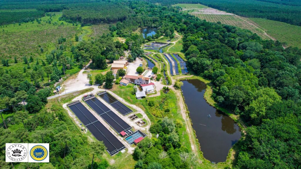 Caviar de France produit du Moulin de la Cassadotte
