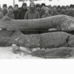 Pécheurs d'esturgeon en 1900 en Sibérie